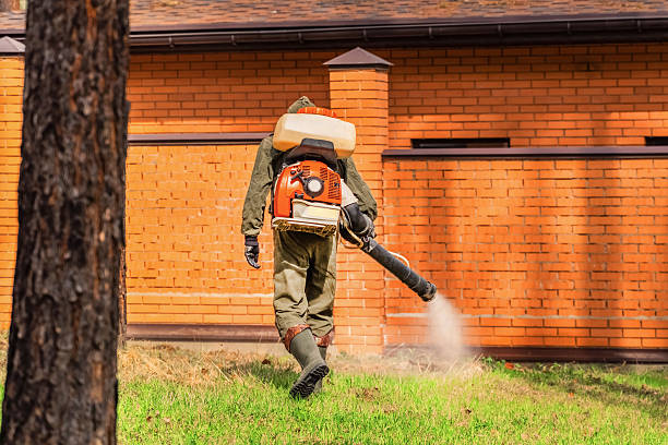 Trusted Cockroach Control service in Prairie Creek, AR - Nex Pest Control